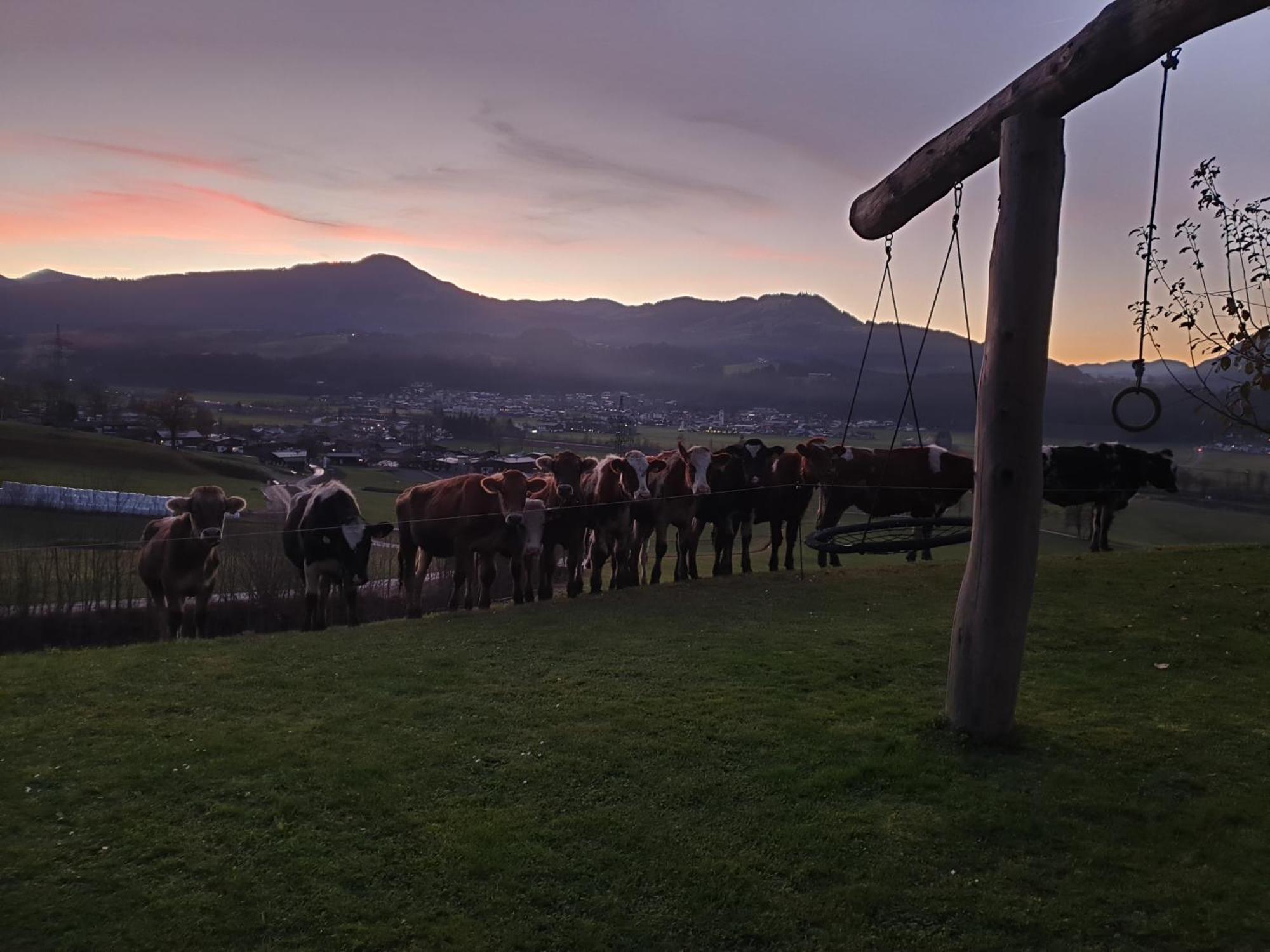 Ferienwohnung Griesbachhof Oberndorf in Tirol Exterior foto